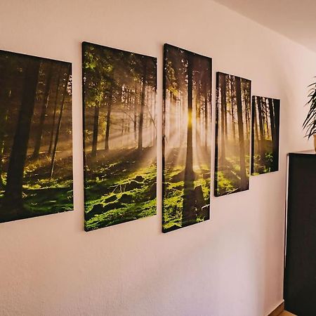 Franzis Feriendomizil Im Herzgebirge Am Skihang Auerbach  Екстериор снимка