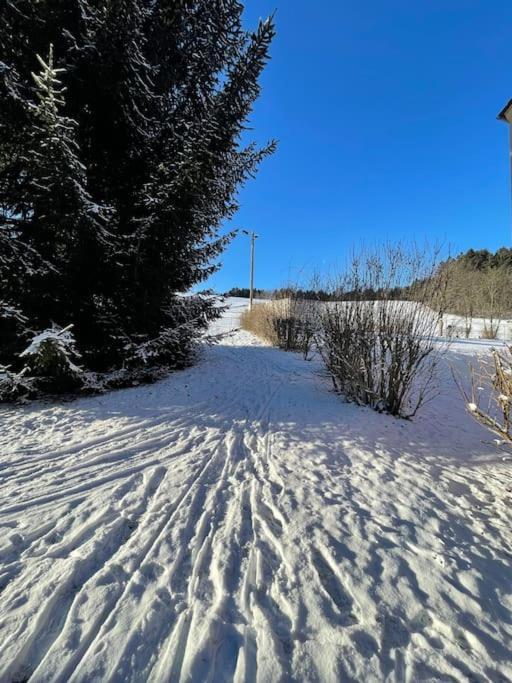 Franzis Feriendomizil Im Herzgebirge Am Skihang Auerbach  Екстериор снимка