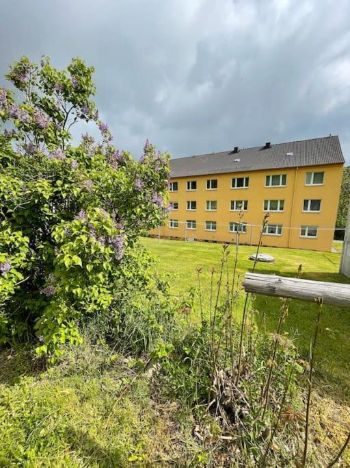Franzis Feriendomizil Im Herzgebirge Am Skihang Auerbach  Екстериор снимка