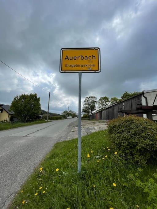 Franzis Feriendomizil Im Herzgebirge Am Skihang Auerbach  Екстериор снимка