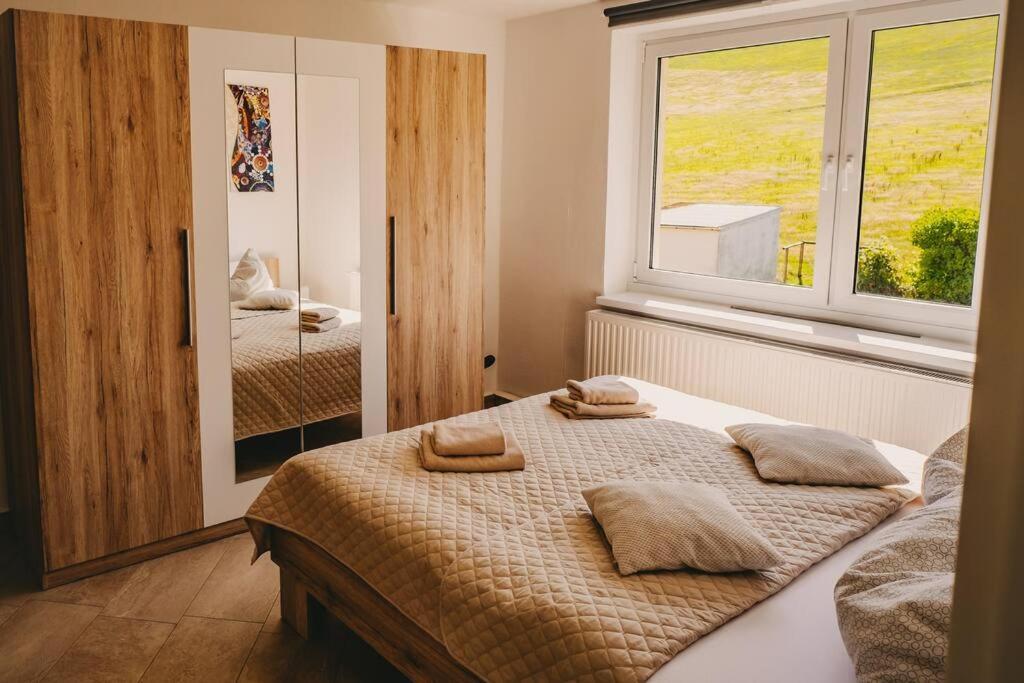 Franzis Feriendomizil Im Herzgebirge Am Skihang Auerbach  Екстериор снимка