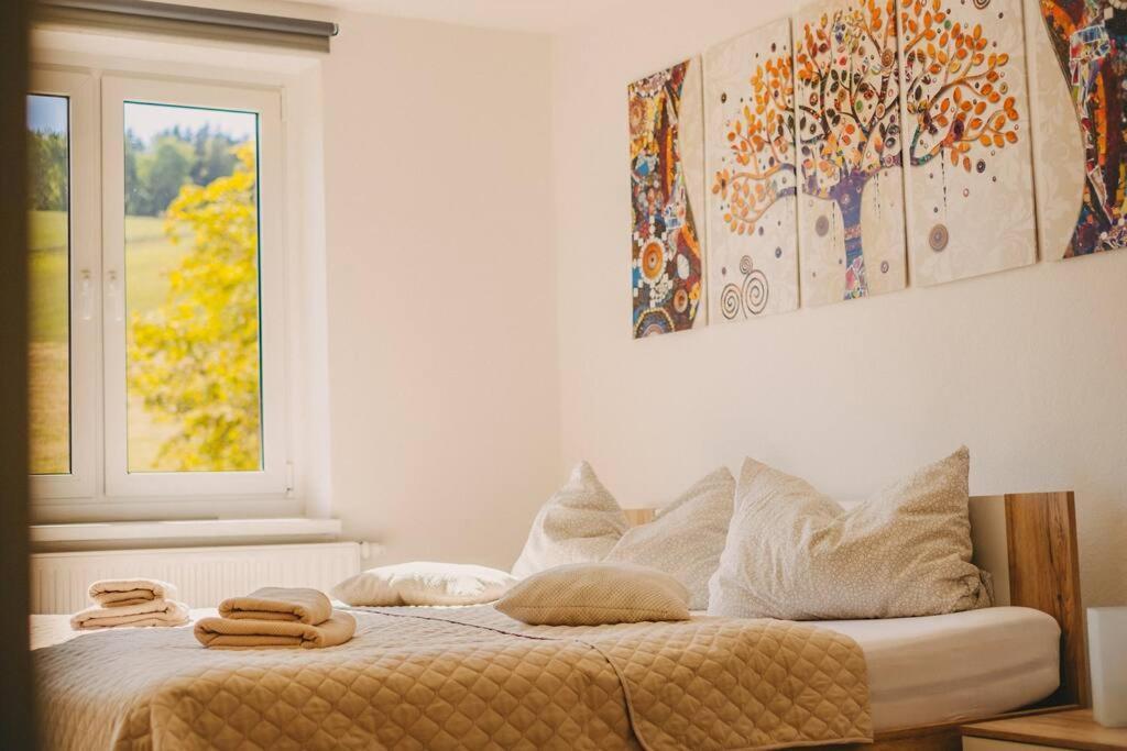 Franzis Feriendomizil Im Herzgebirge Am Skihang Apartment Auerbach  Екстериор снимка