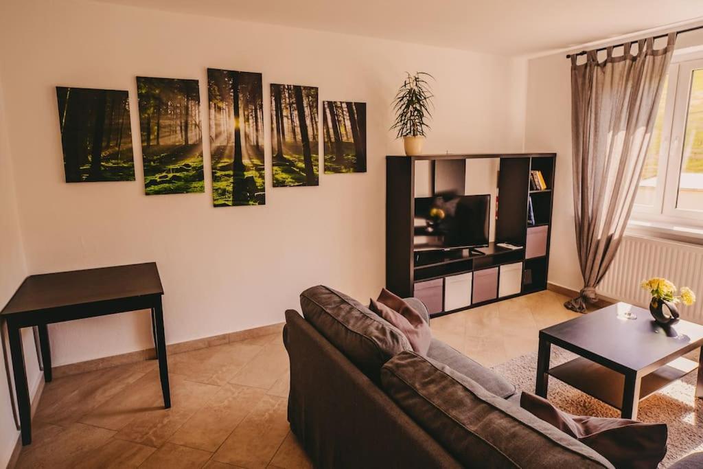 Franzis Feriendomizil Im Herzgebirge Am Skihang Apartment Auerbach  Екстериор снимка