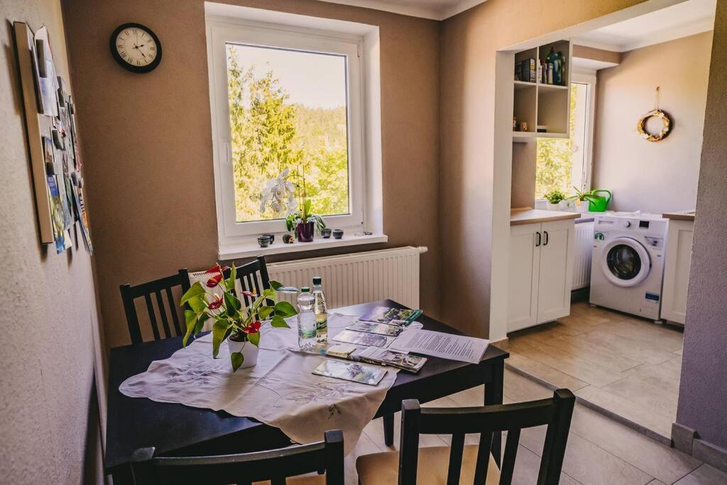 Franzis Feriendomizil Im Herzgebirge Am Skihang Auerbach  Екстериор снимка