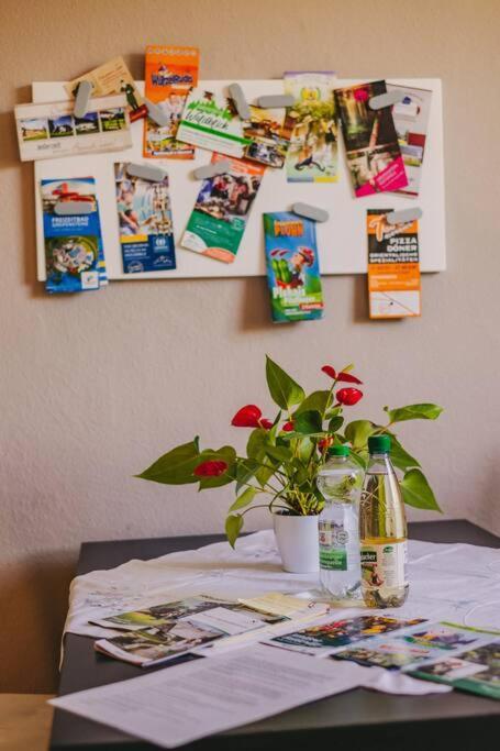 Franzis Feriendomizil Im Herzgebirge Am Skihang Auerbach  Екстериор снимка