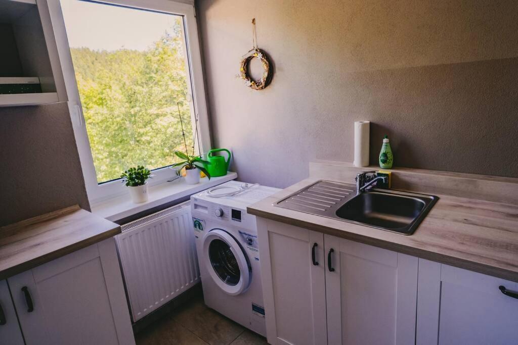 Franzis Feriendomizil Im Herzgebirge Am Skihang Auerbach  Екстериор снимка